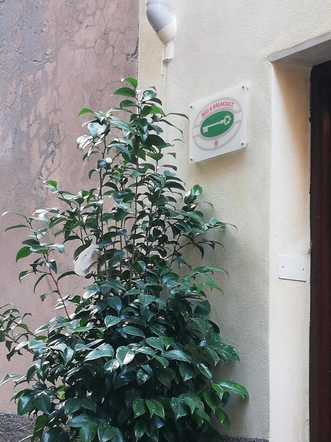 B&B Sotto Le Torri อัลเบงกา ภายนอก รูปภาพ